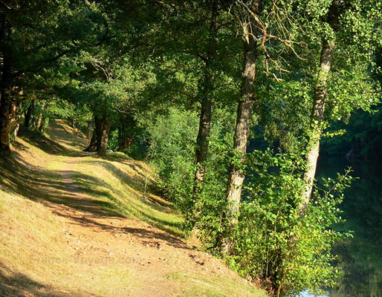 camping-au-lac-hautibus-balade-nature