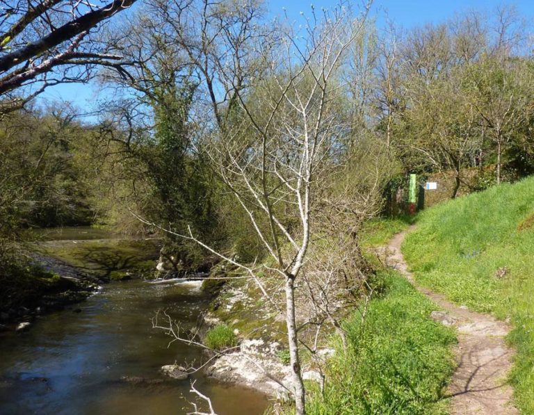 passerelle-d-auzay-proche-camping-lac-hautibus-deux-sevres